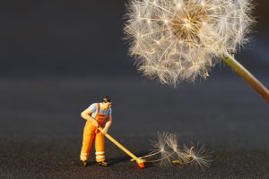 cleaning up